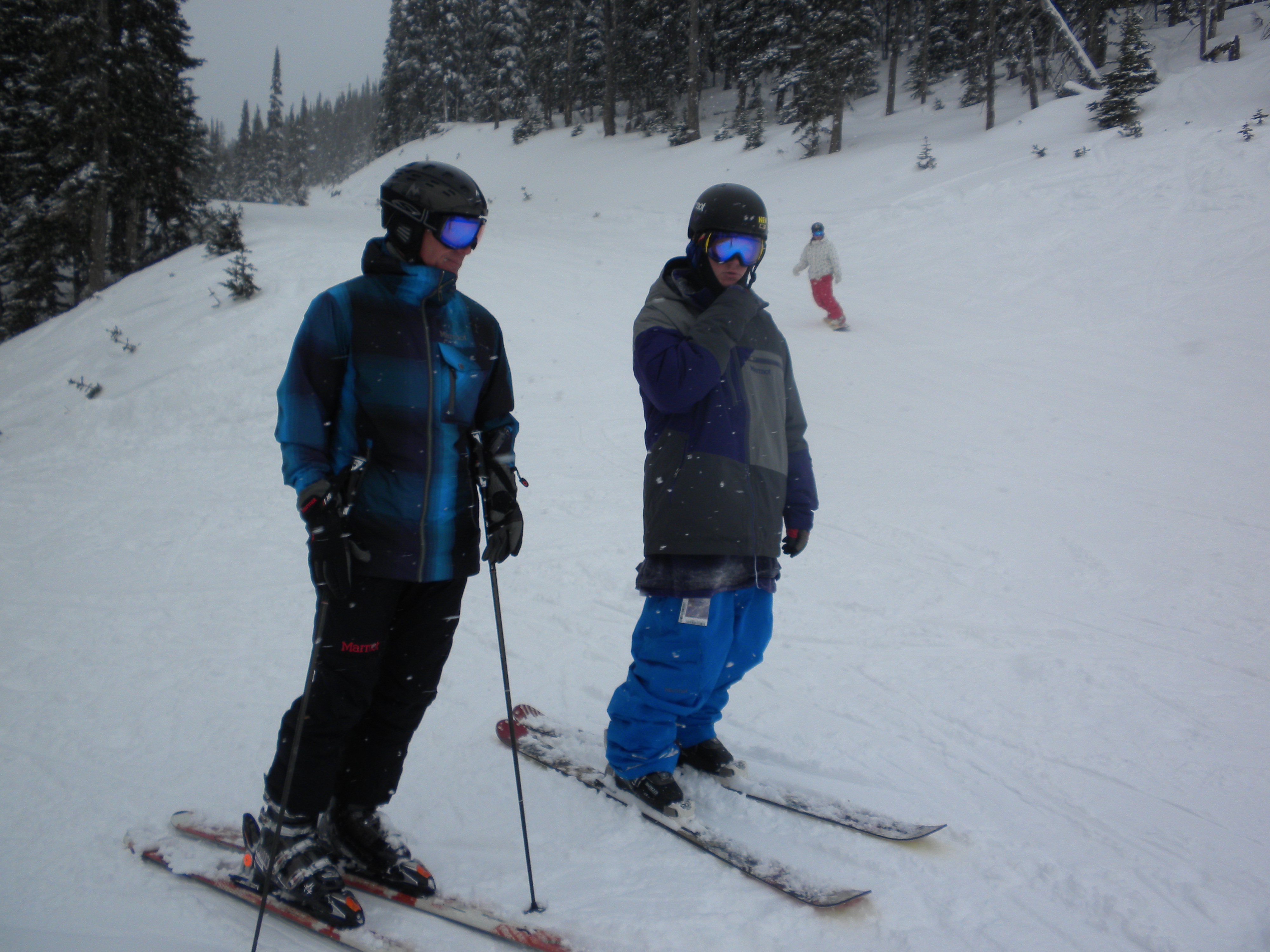 New Marmot Vs. Old Marmot