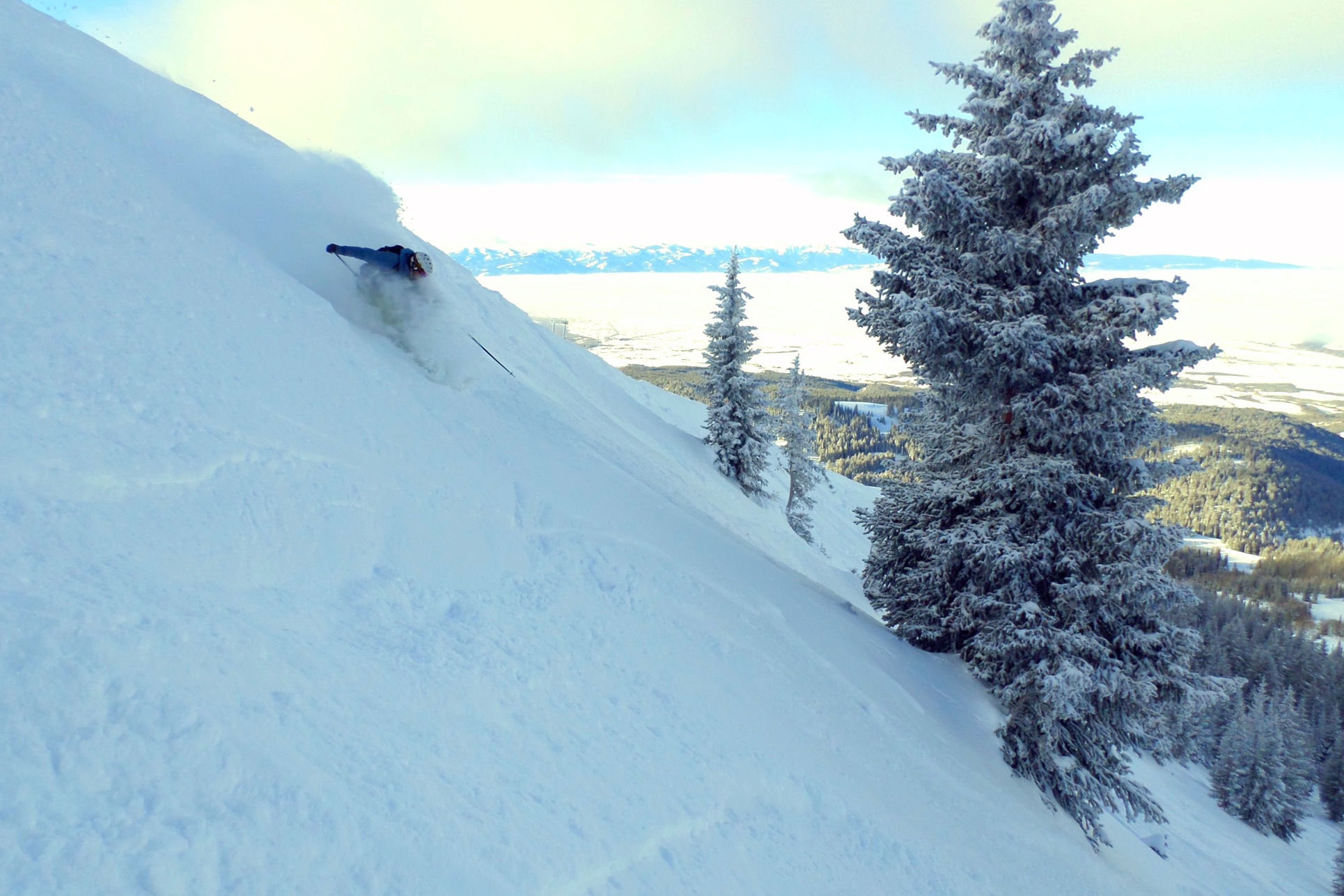 New Year's Day 2014 Pow