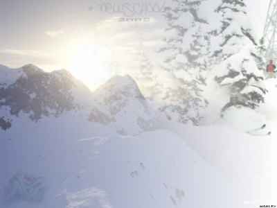 Newschool 2002 v2! Small Wallpaper! I can E-mail it to you! 2versions