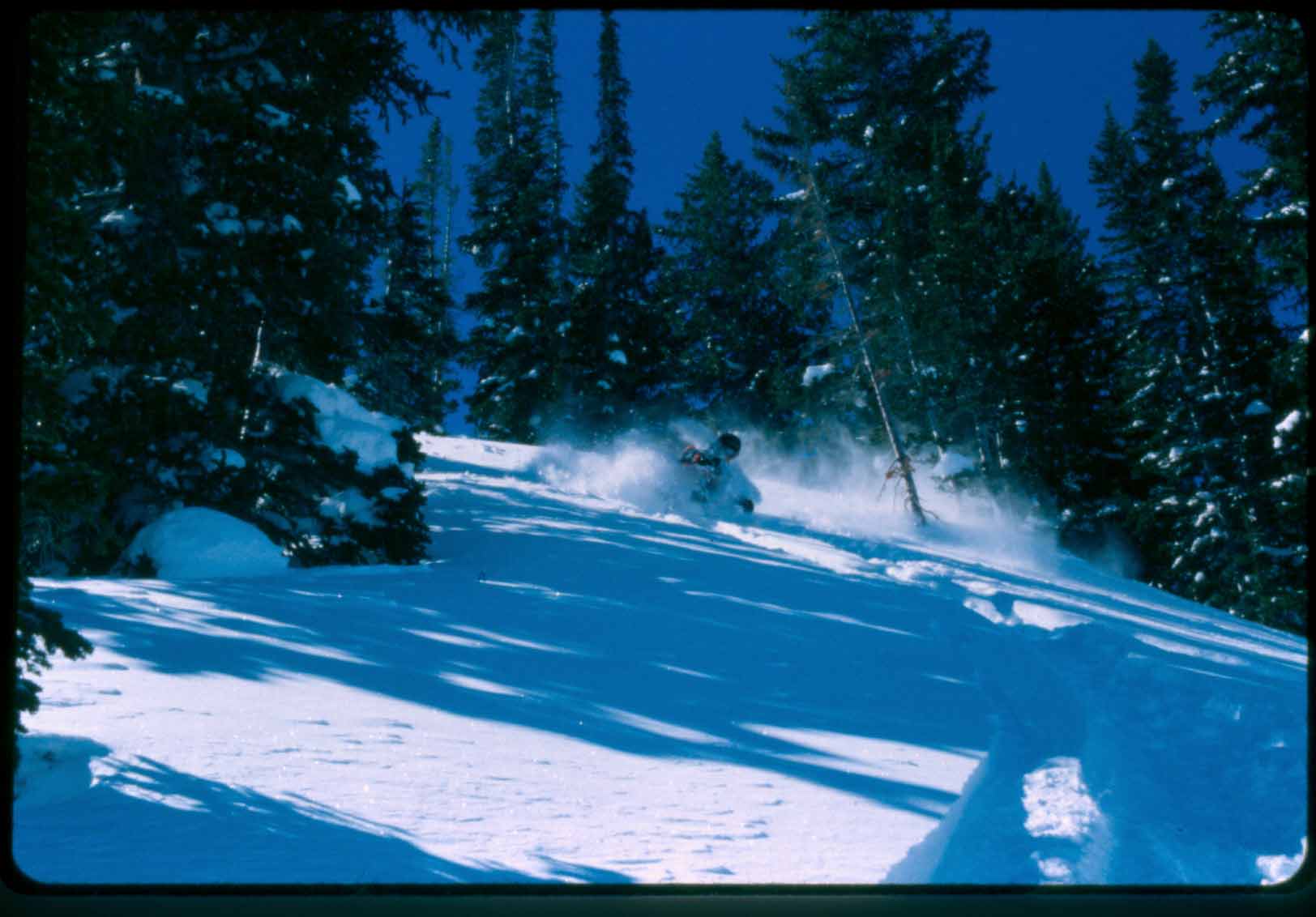 nice alta pow 3