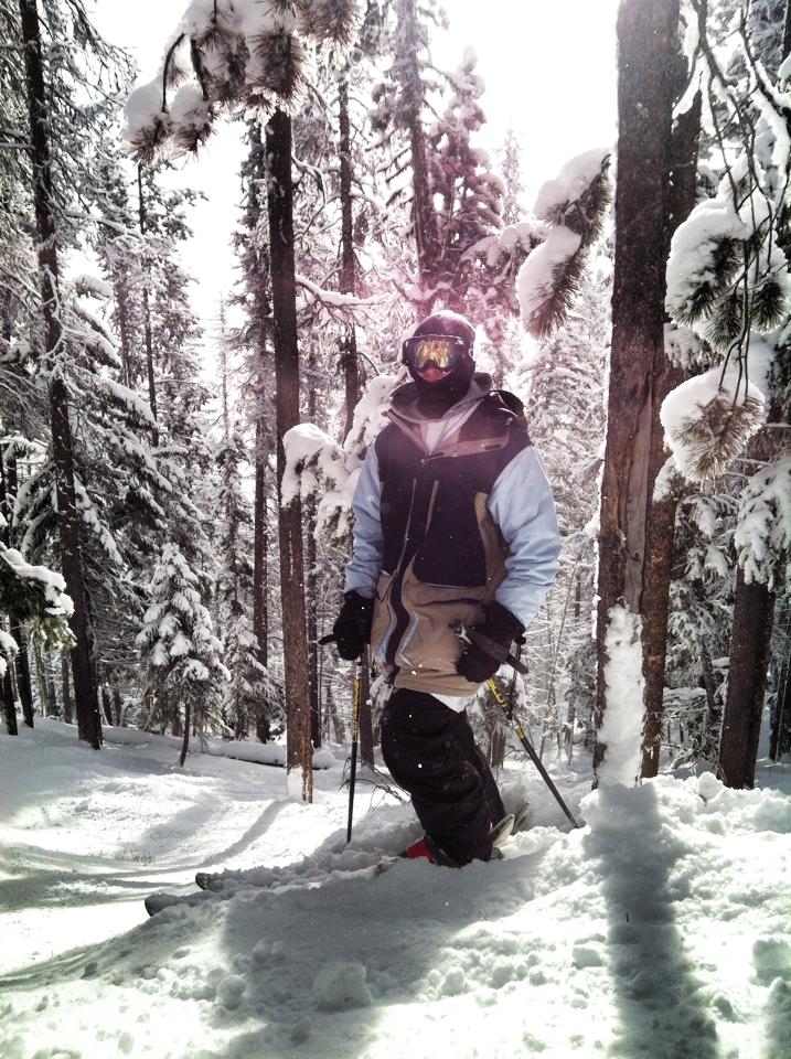 Nice Day In The Trees