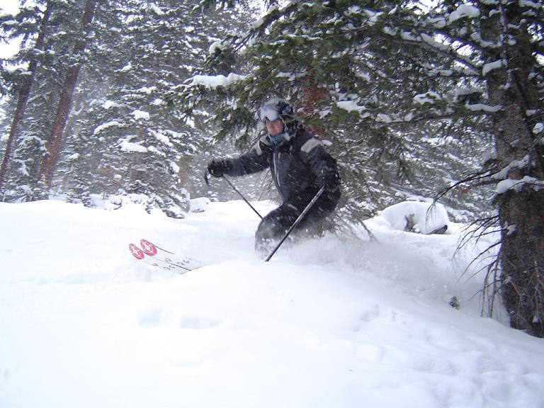 nice pow in some sick trees