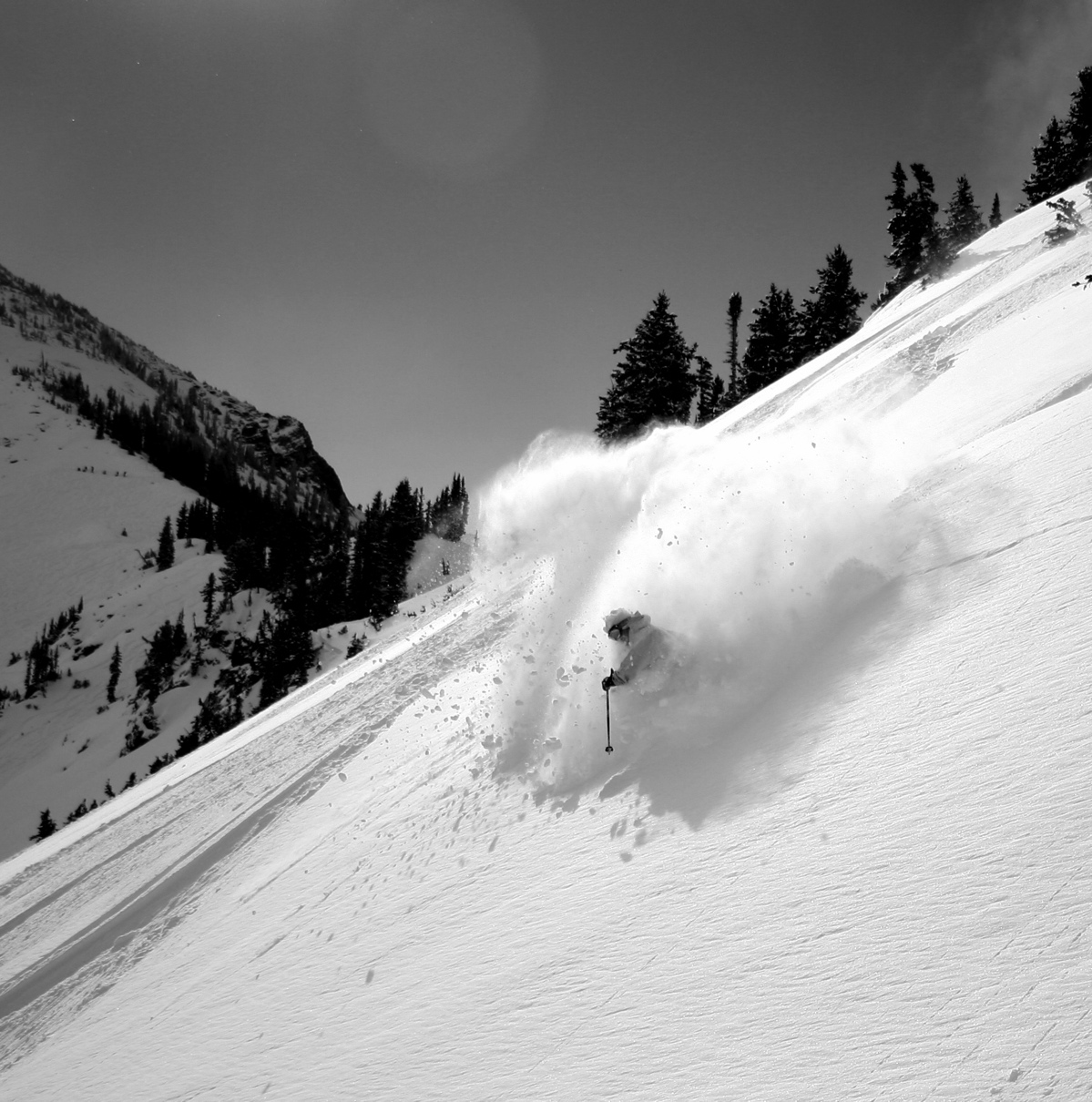 Nice pow turn