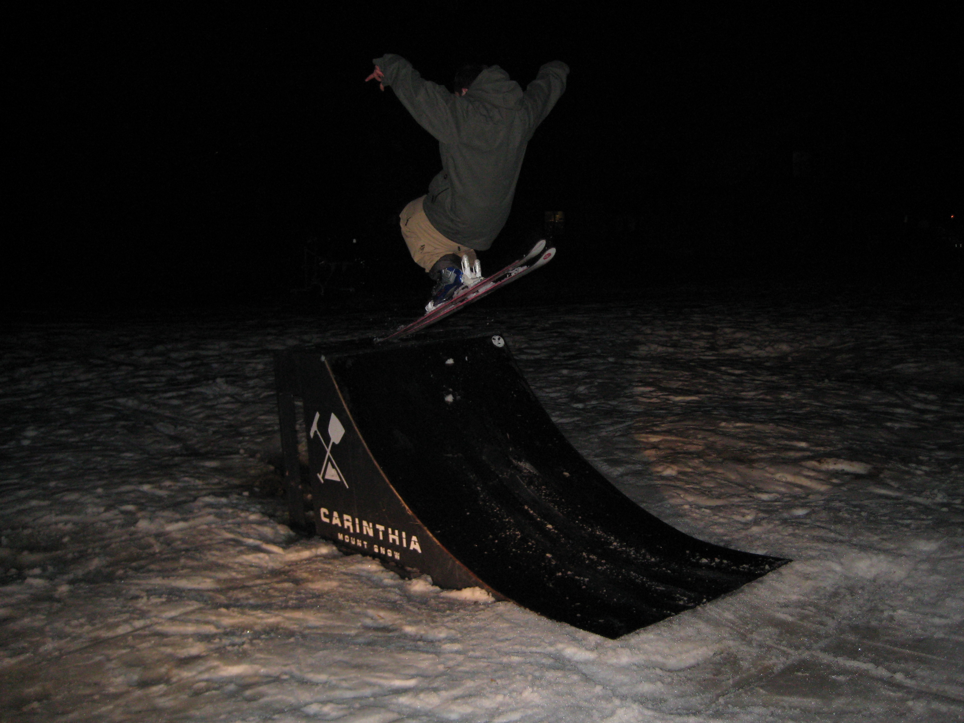 Nick again...a bird?