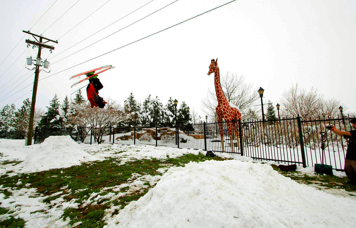 Nick Pease at The Animal Zoo