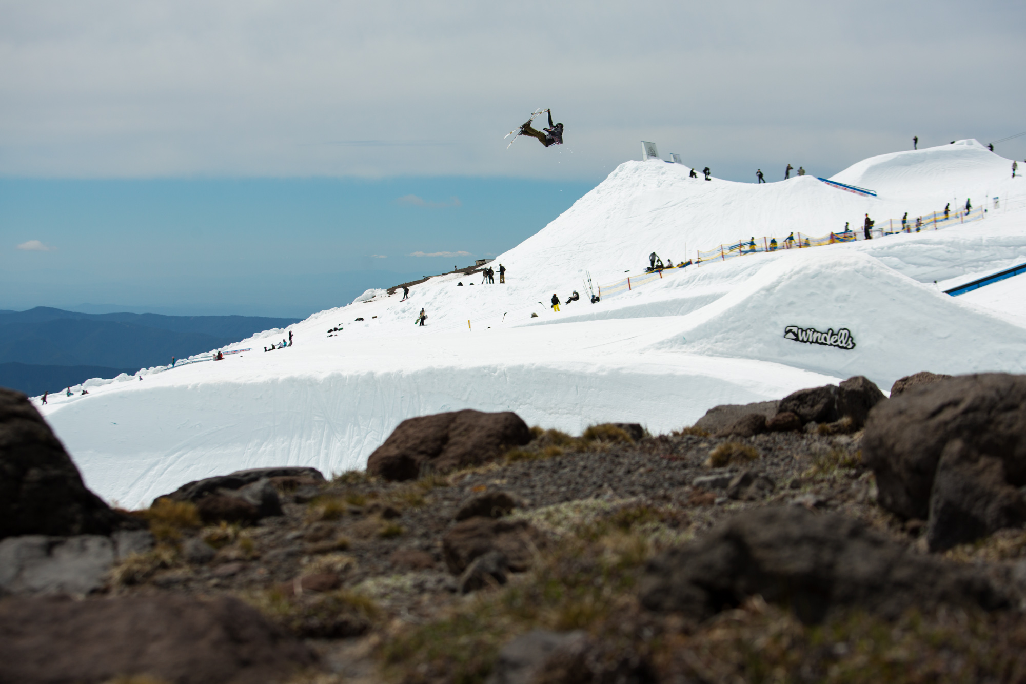 Nicky Keefer Switch 5 Nose