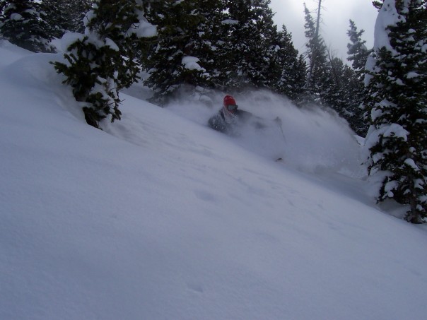 Nipple deep at the bird