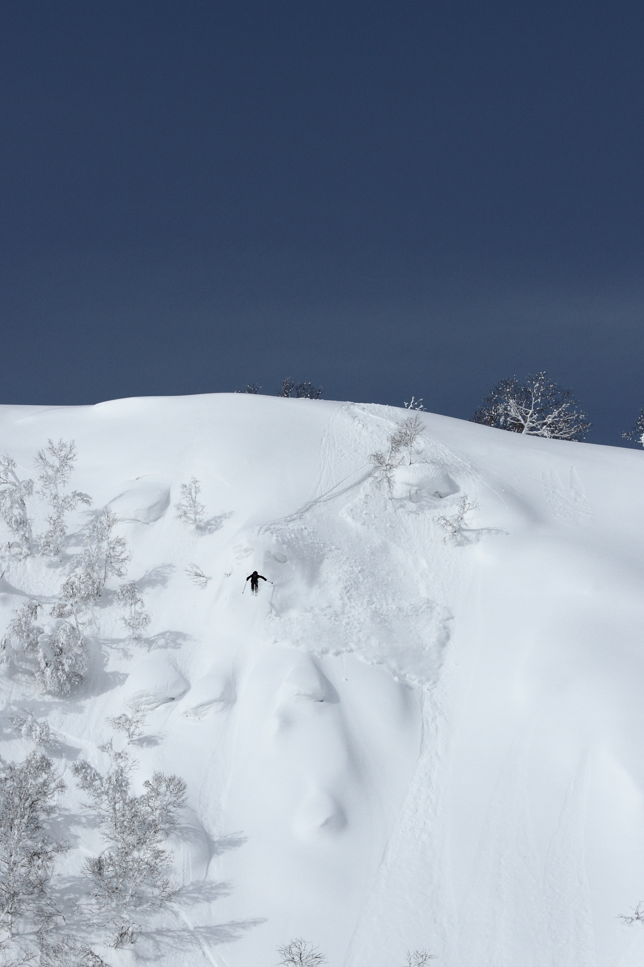 Niseko BC