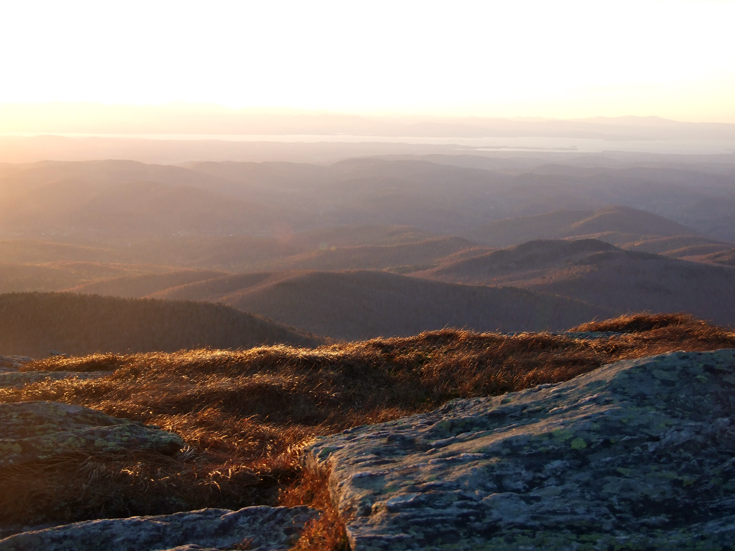 No, not my hairy balls