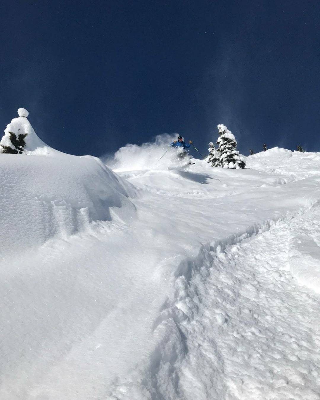 No tricks, no stunts, just pow up to my nuts.