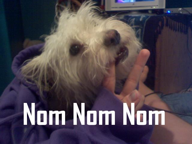 Nom nom nom