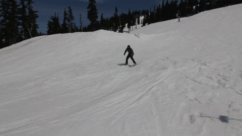 Nose butter 450 Disaster/Quad Kink