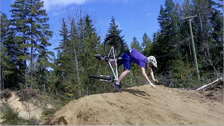 Nose case over the bars