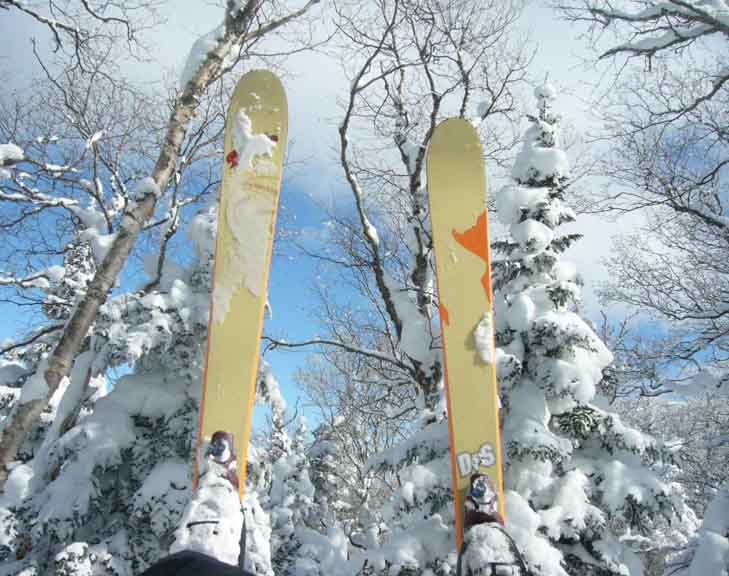 Not people even if they are my best friends