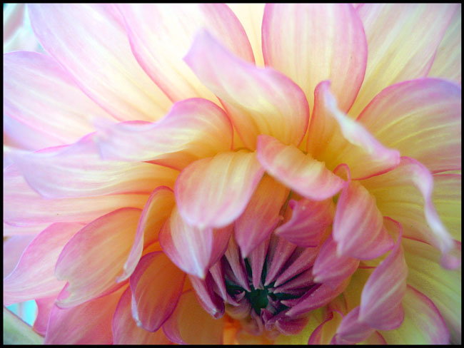 Not Quite Bitch Status