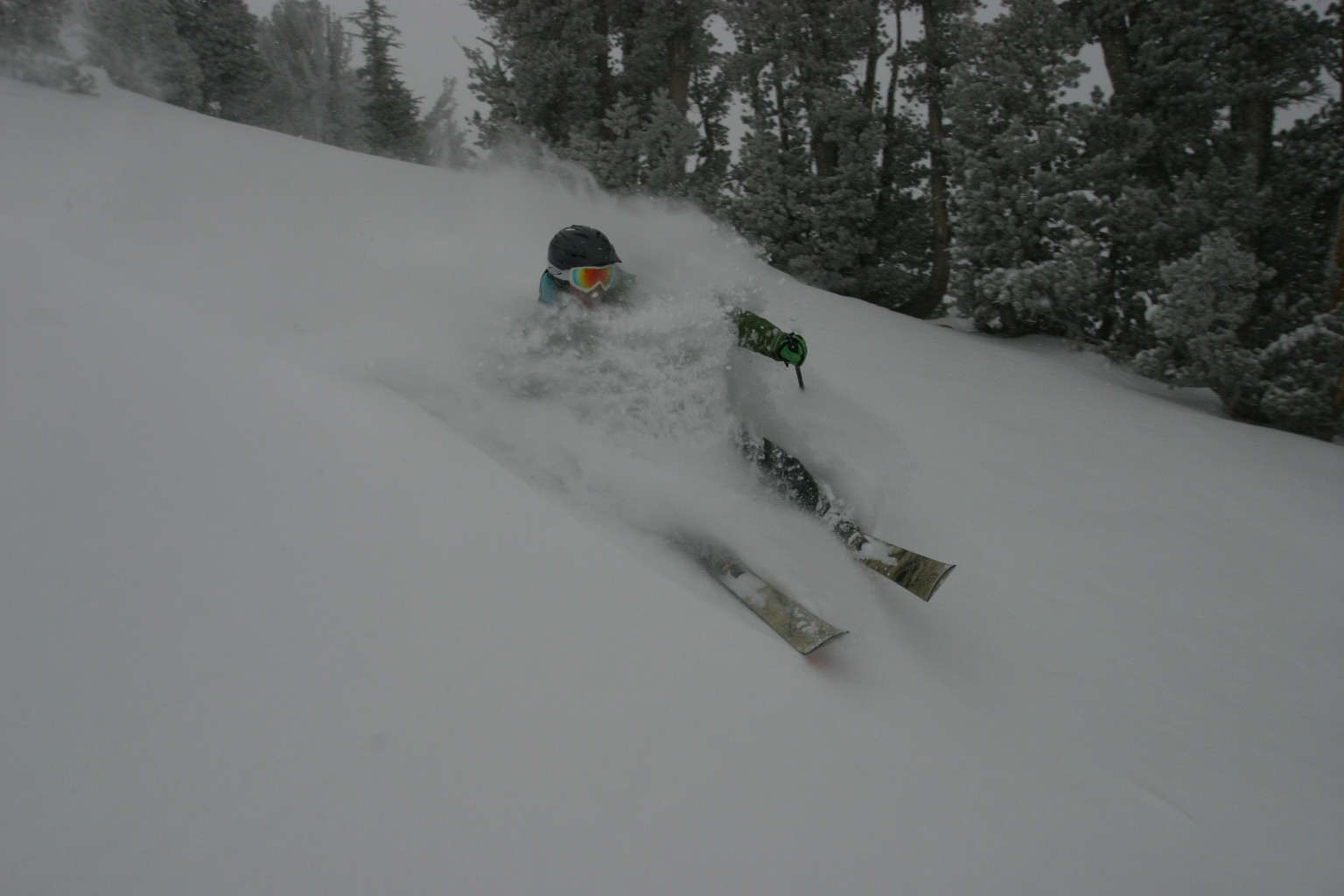 Nov. 28 Pow at Mammoth