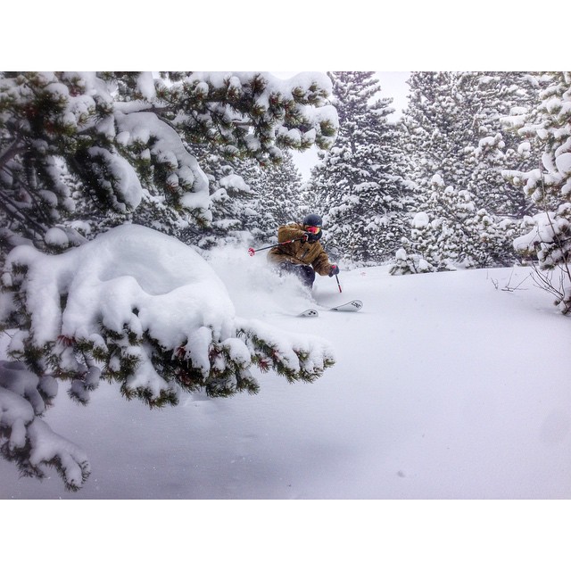 November to Remember