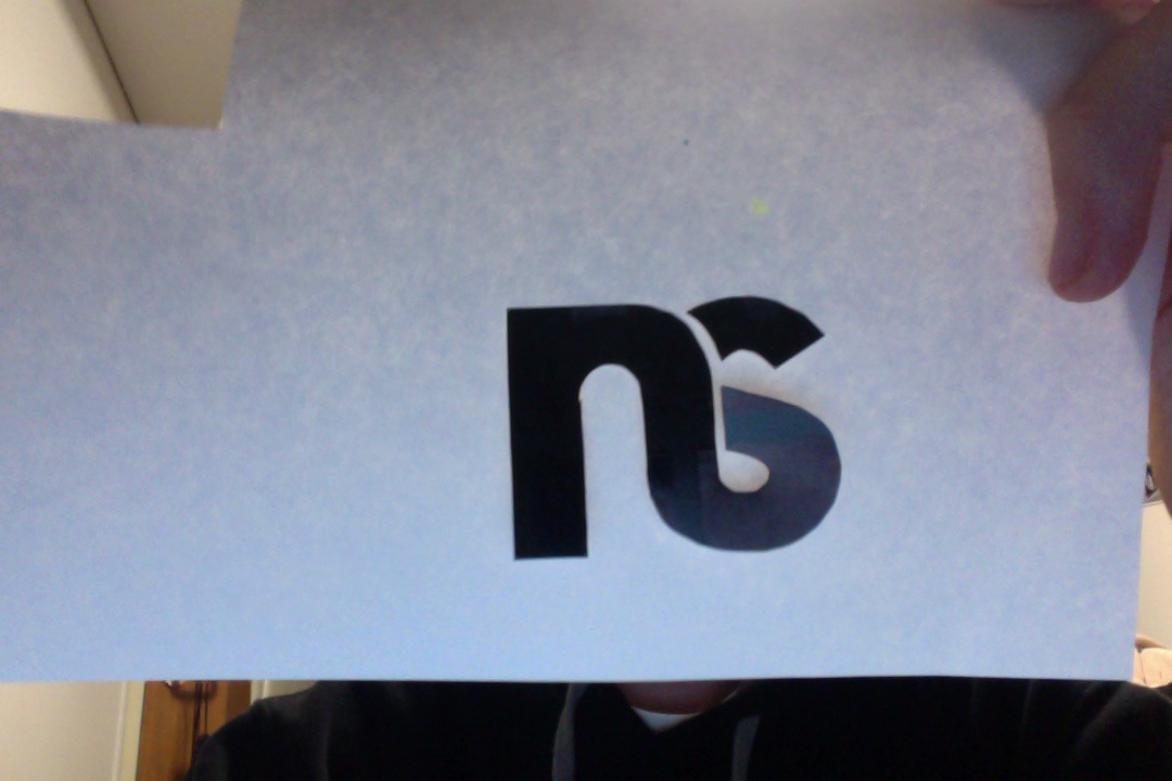 Ns cutout sticker
