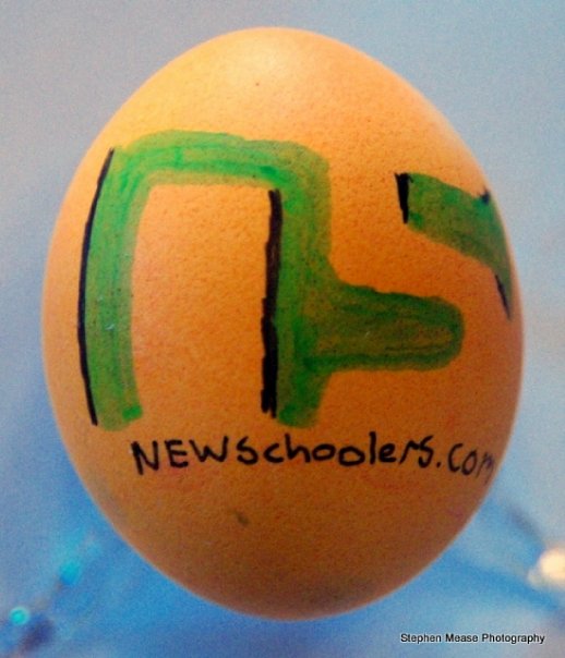 NS egg