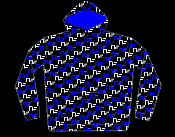NS Hoodie Black and Blue Diagonal