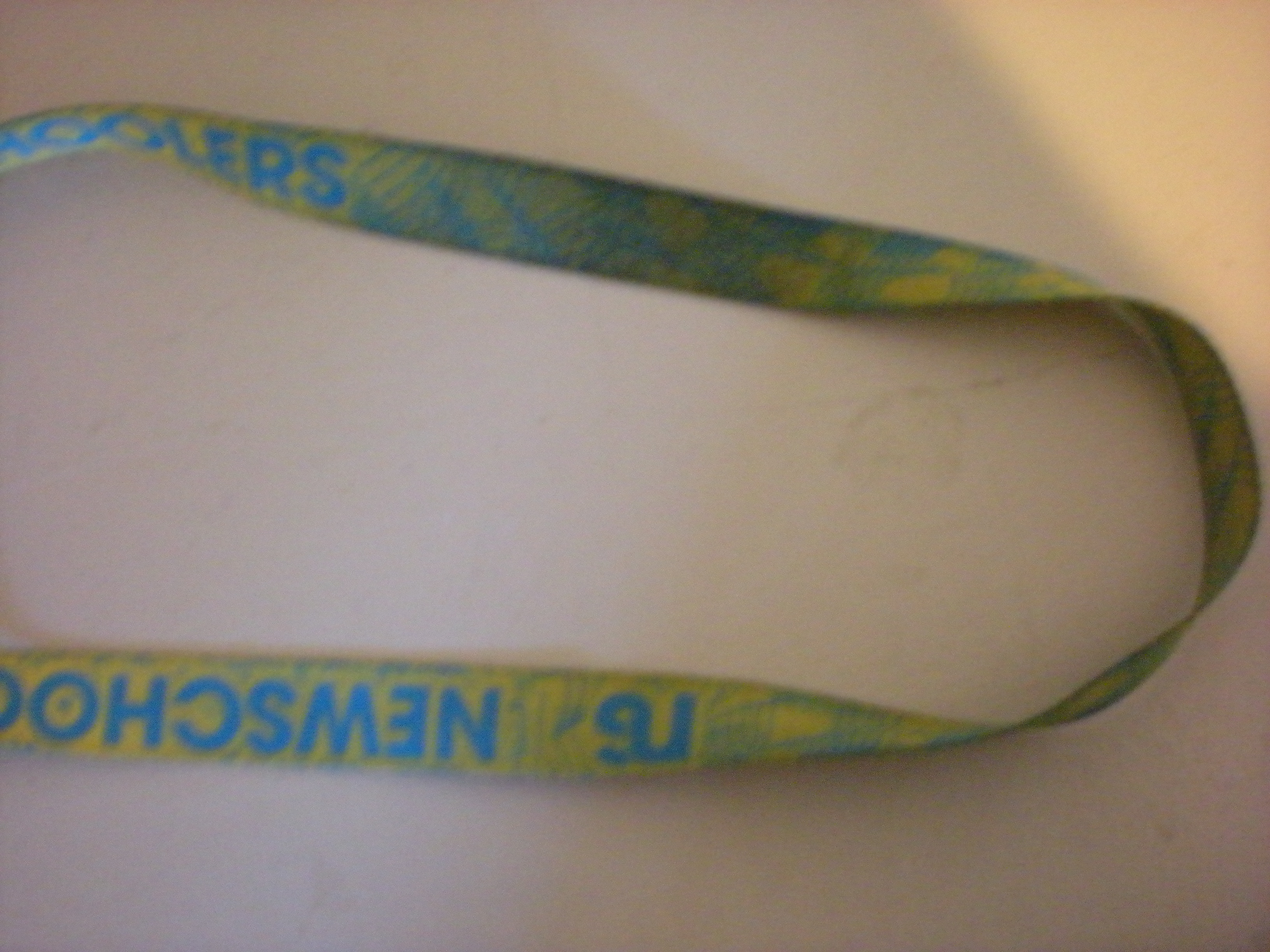 Ns lanyard fs