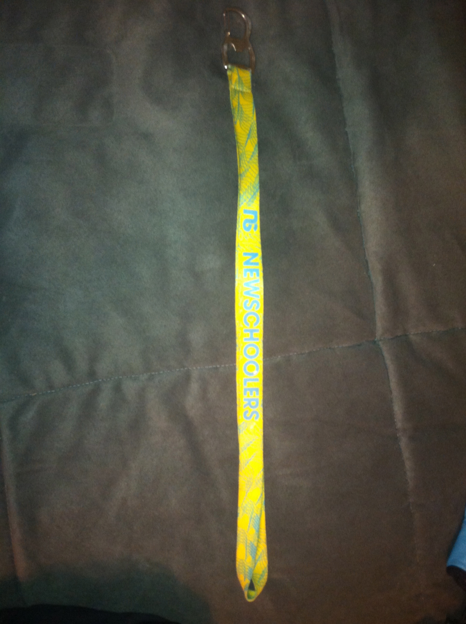 ns lanyard