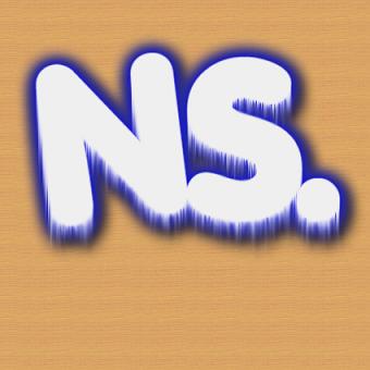 ns logo