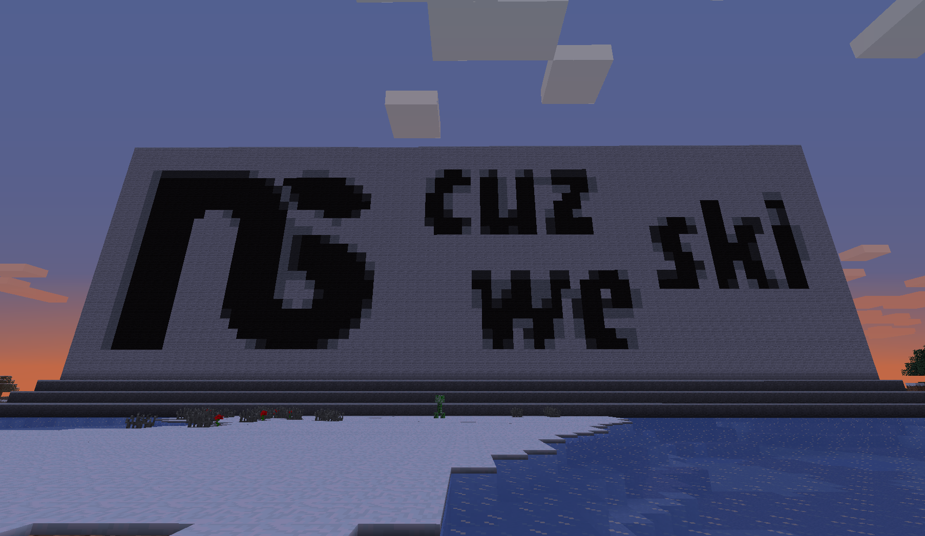 ns minecraft server