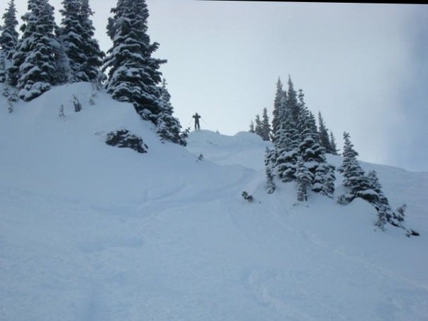 Nway double feature1