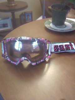 Oakley Crowbars Custom Eastern Boarder