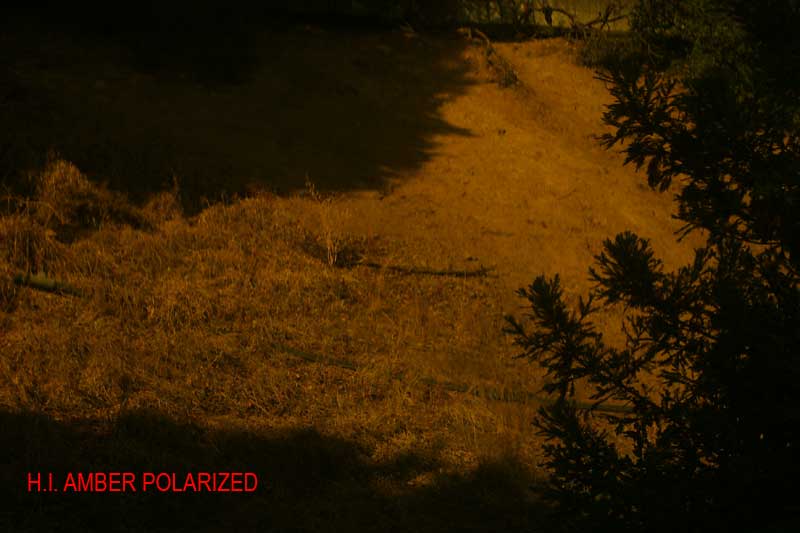 Oakley Test - H.I. Amber Polarized