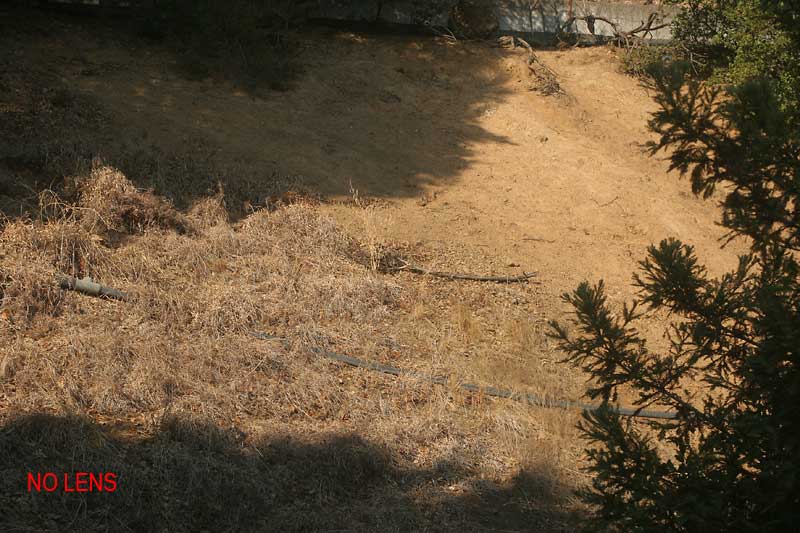 Oakley Test - No Lens