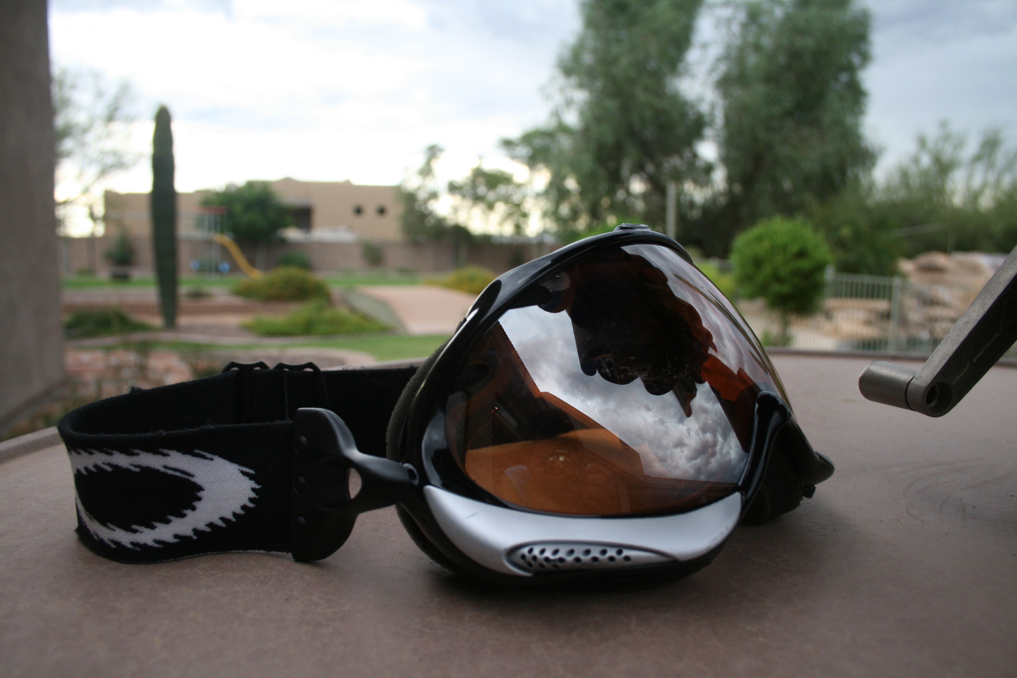 Oakley wisdoms