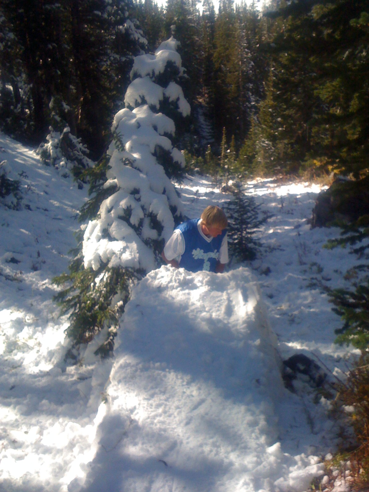 OCT 6th Setting Up Tree Jib