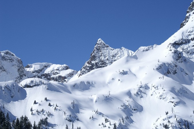 Oh the possibilities