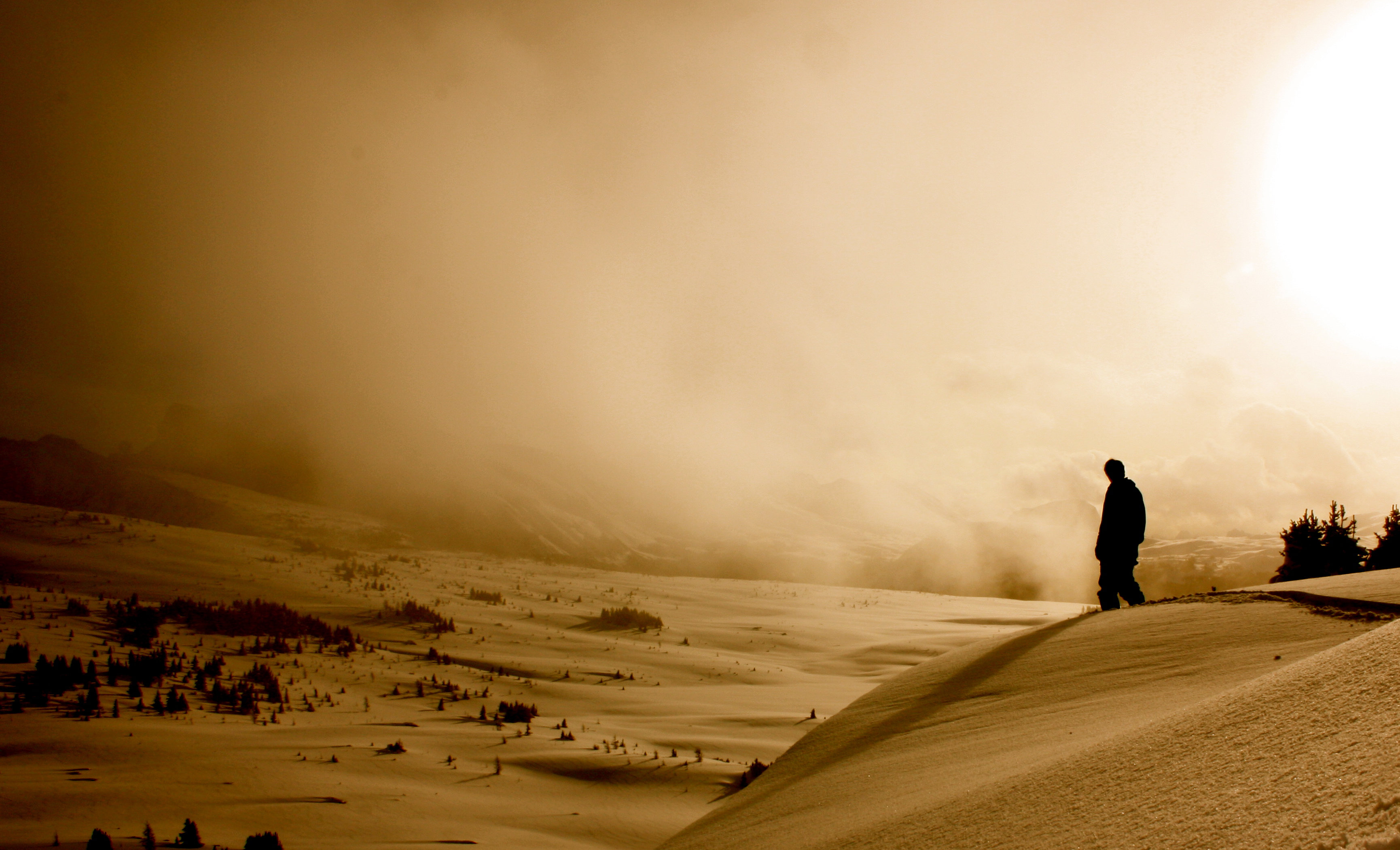 On a cornice at sunshine