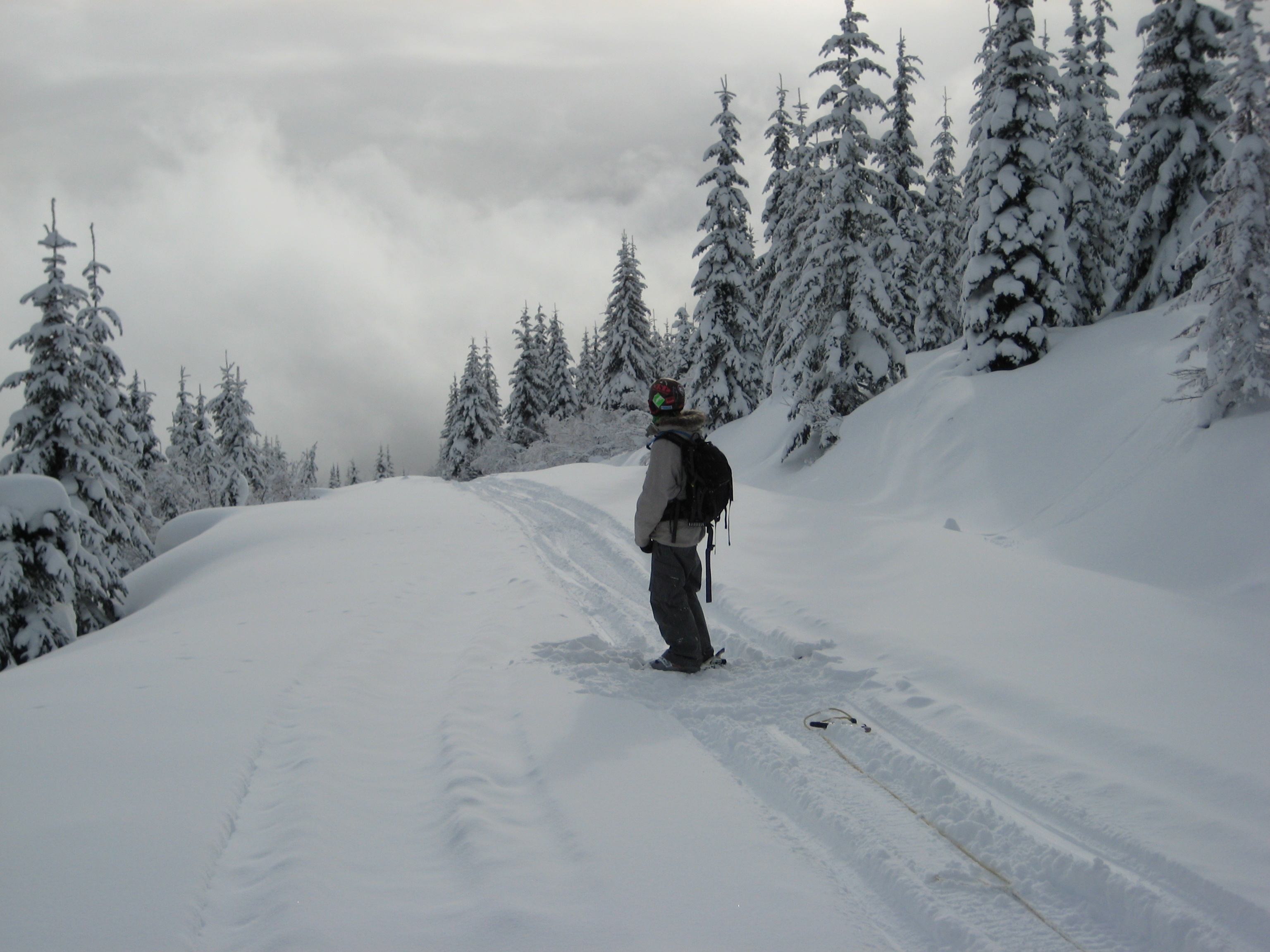 On Looking from the sled tracks