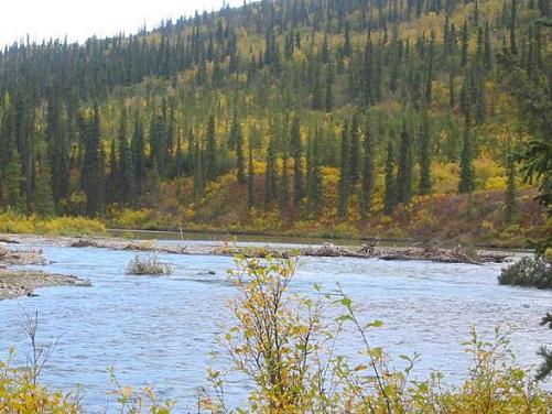 On the bank of Wells Creek