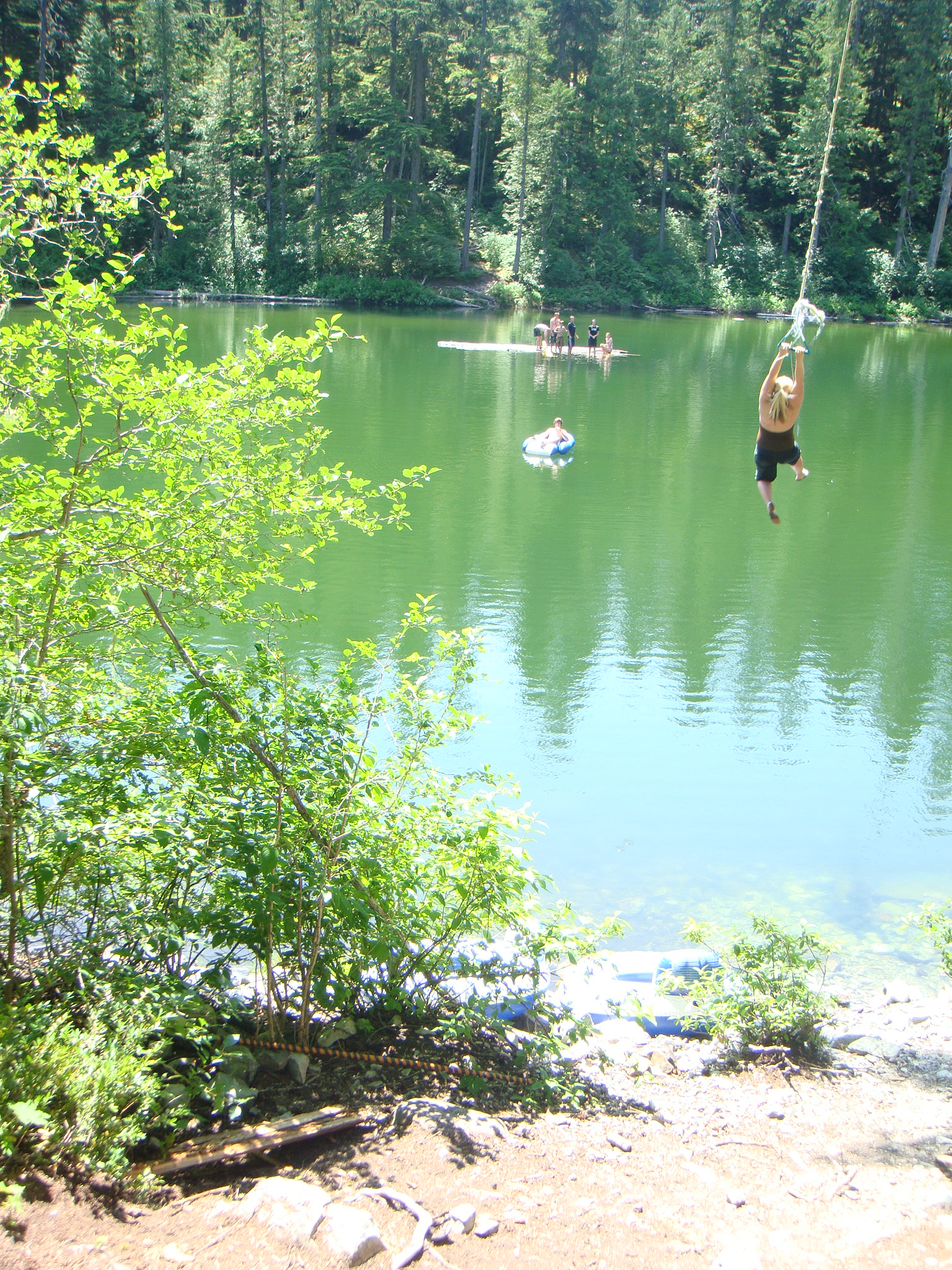One duck rope swing
