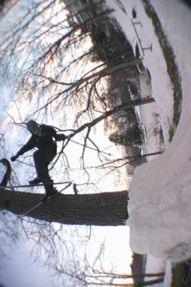 one footed slide on tree