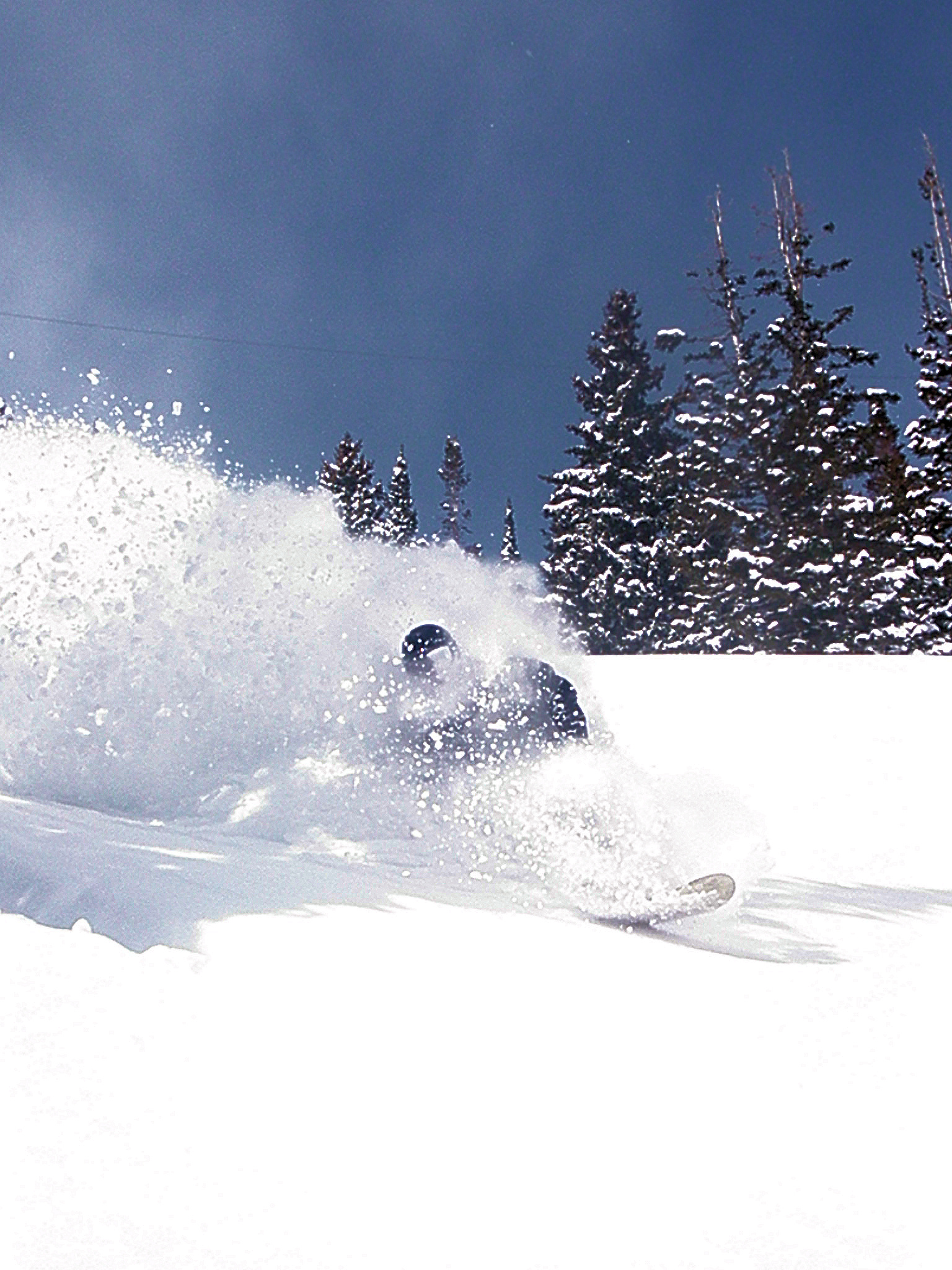 One for the oneplankers