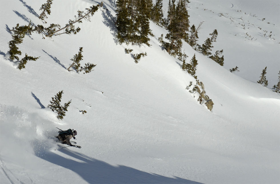 One more from same sequence