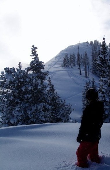 One Of Alta's Summits