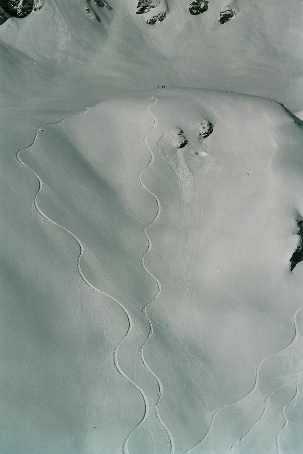 One of my best lines ever!