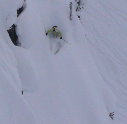 One of my favorite lines ever