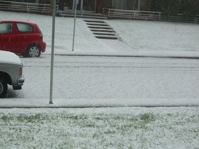 only in calgary... SNOW in June!!!