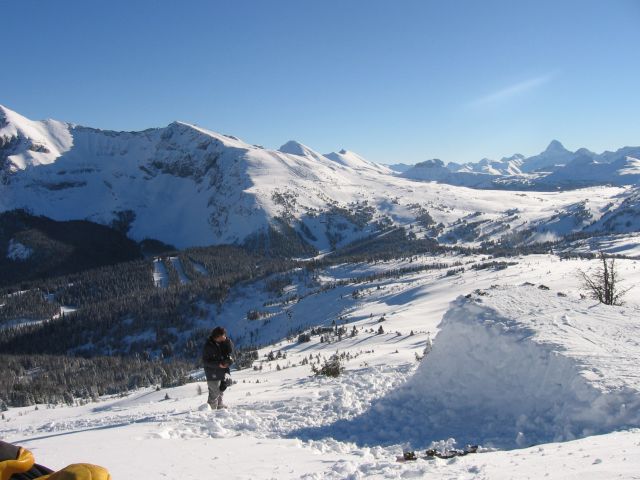 opening season booter