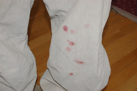 Orage Corp Cord Suit for sale