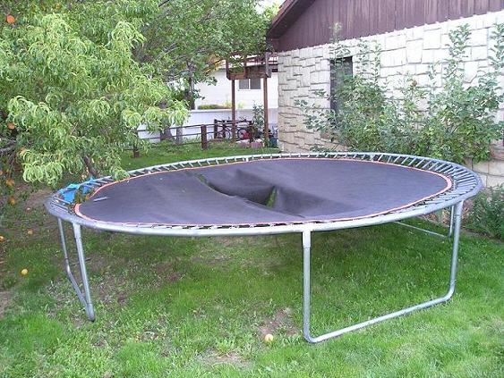 Ouch.my crappy backyard