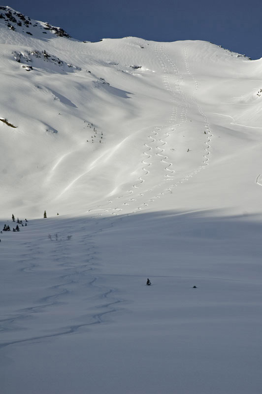 Our tracks on a long run